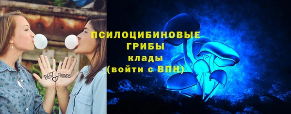 гашик Абаза